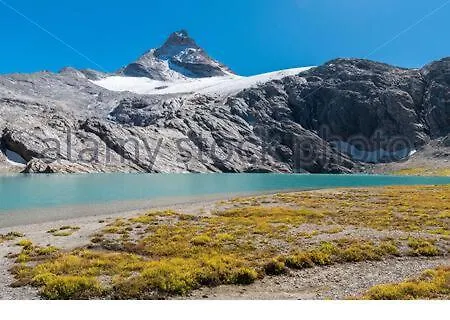 Edelweiss
